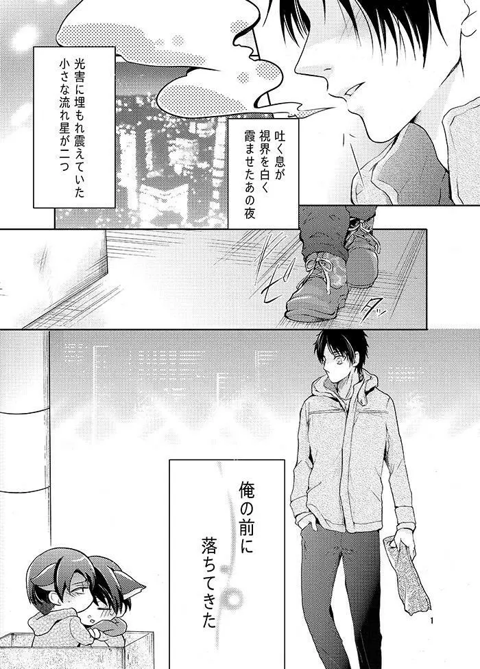 双子猫拾いました Page.3