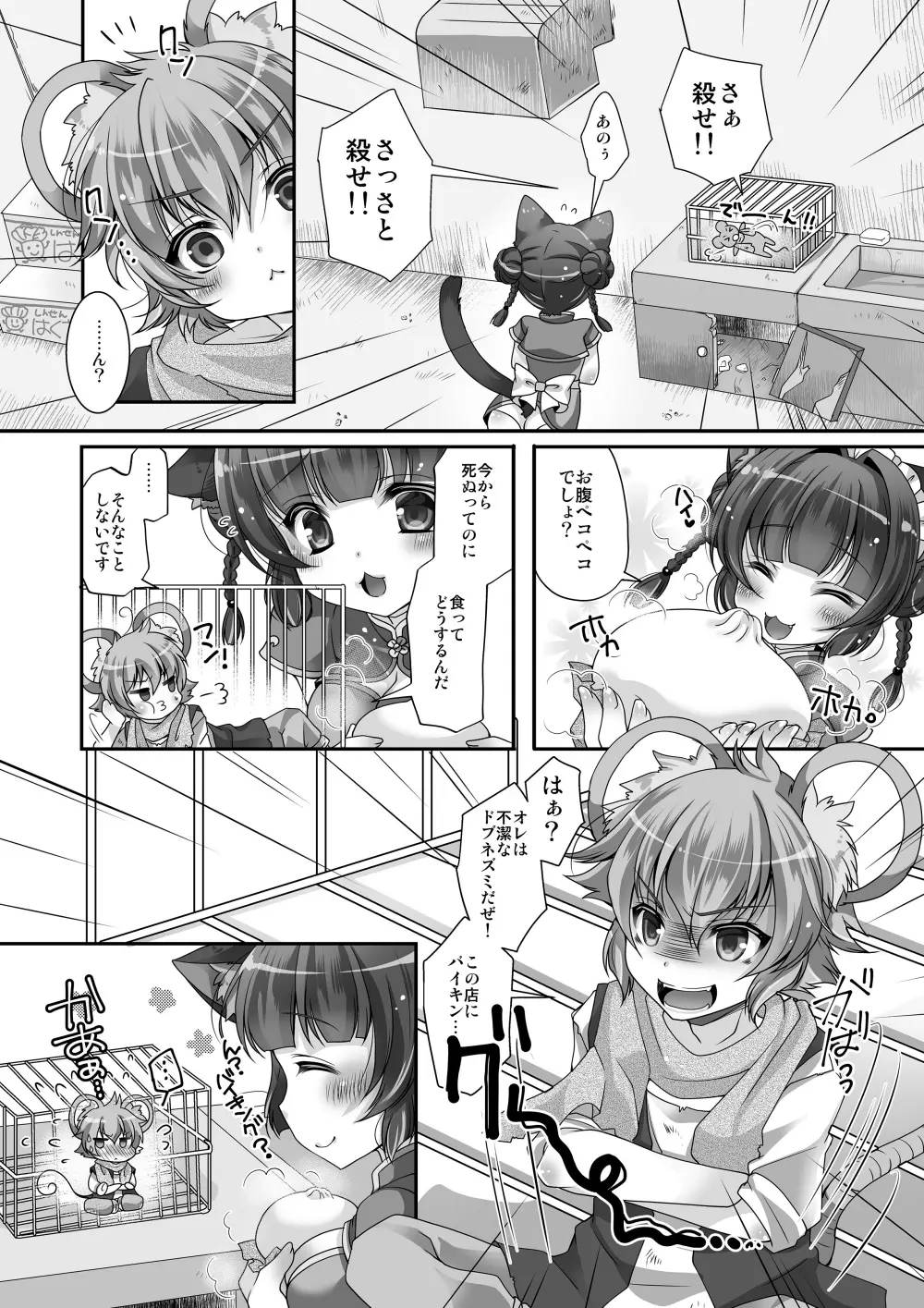 マイクローンマガジン Vol.32 Page.46