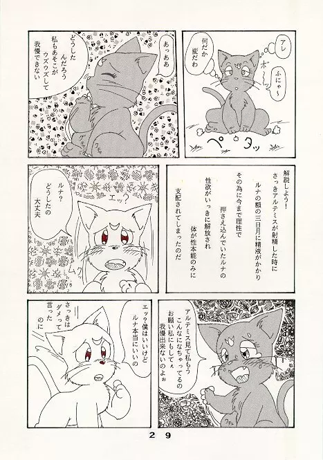 だって猫なんだモン！ Page.5