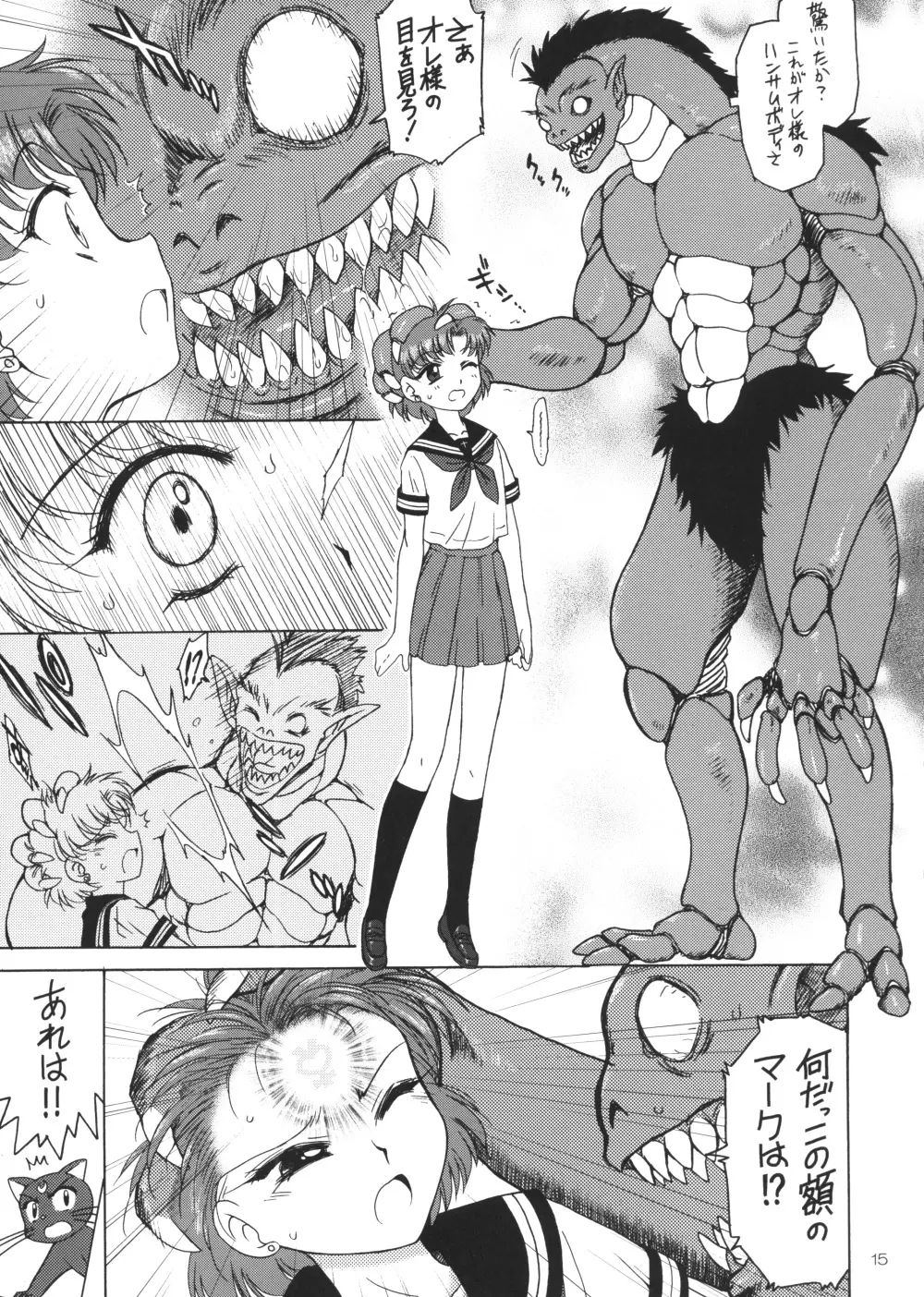 SUBMISSION-R RE・MERCURY Page.14
