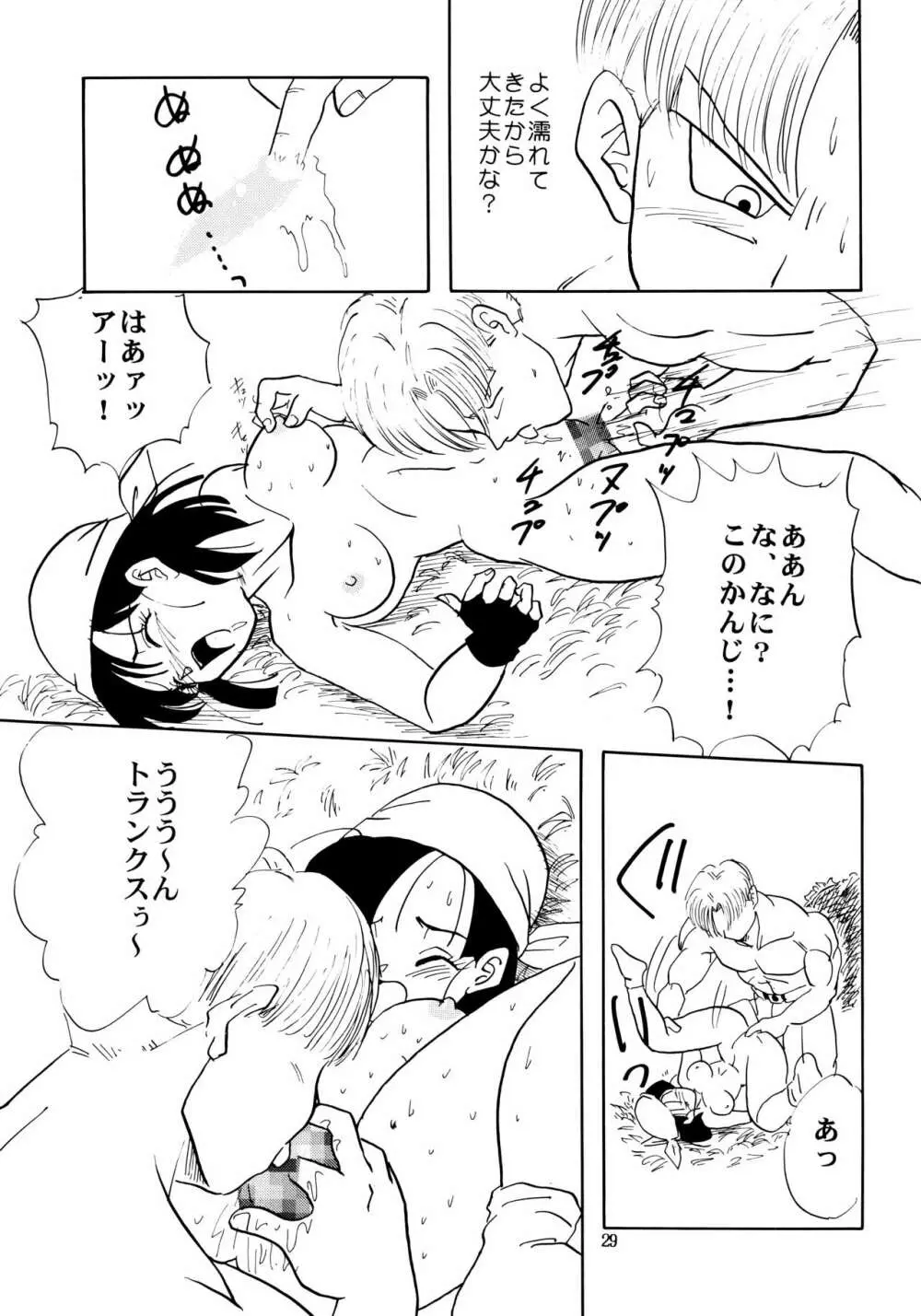 ZZ Page.29