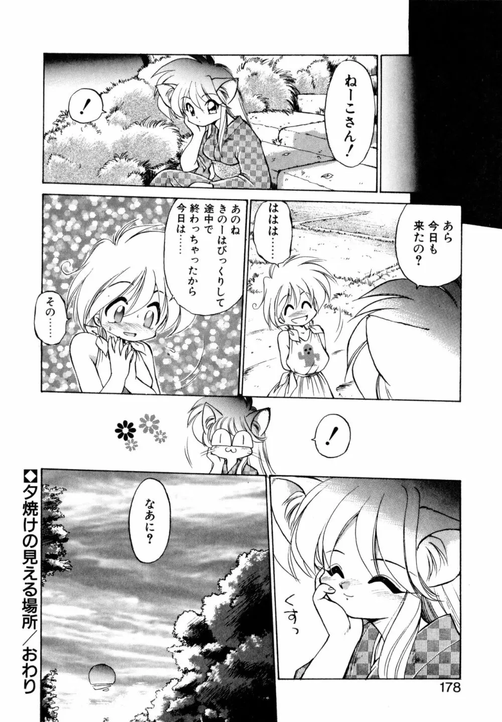 毎日が WONDER LAND Page.177