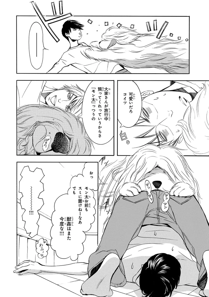 ピンクゴールド3 Page.275