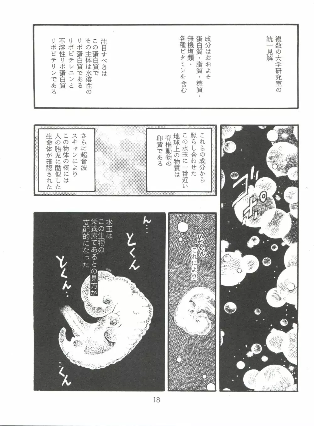 えぶぁん26.5 零 Page.17