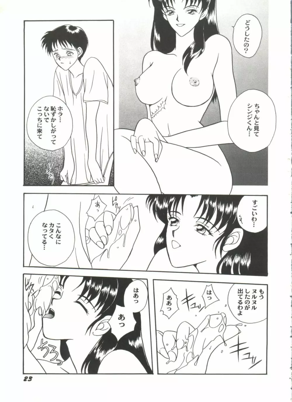 アニパロ美姫4 Page.25