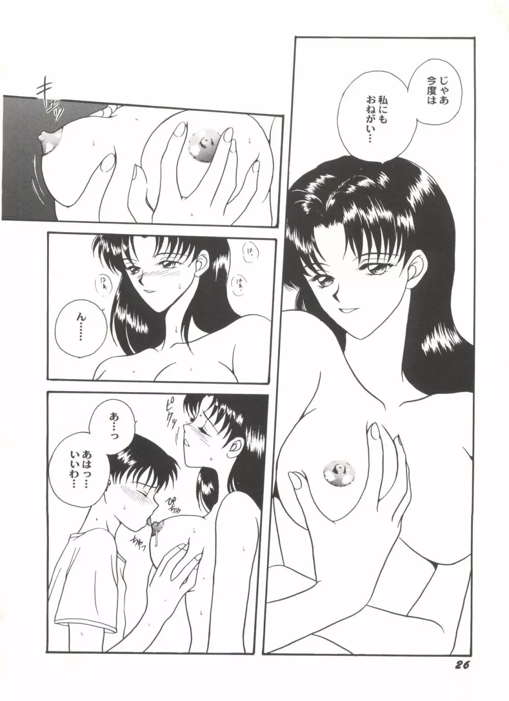 アニパロ美姫4 Page.28