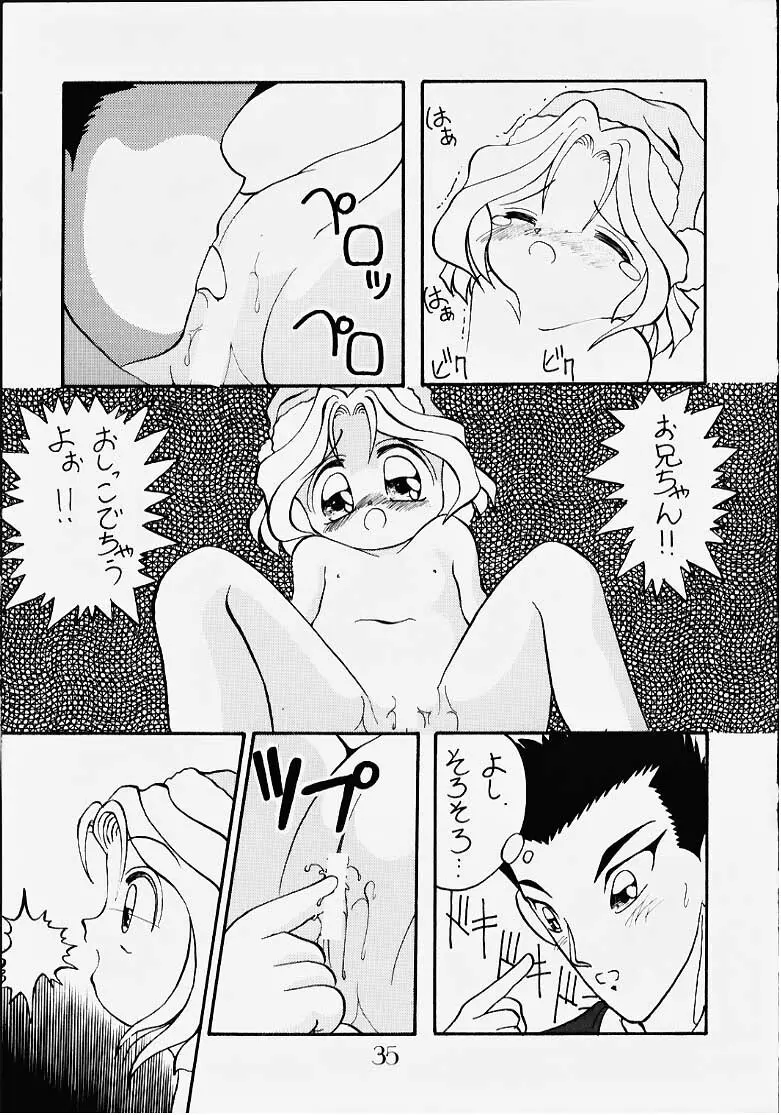 花も嵐も踏み越えて Page.26