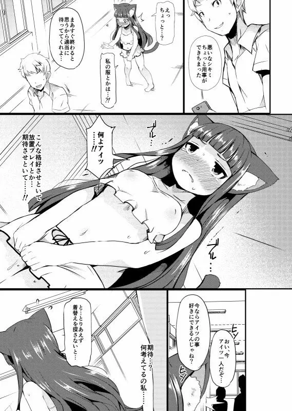 姫野シキミは肉便器 Page.62