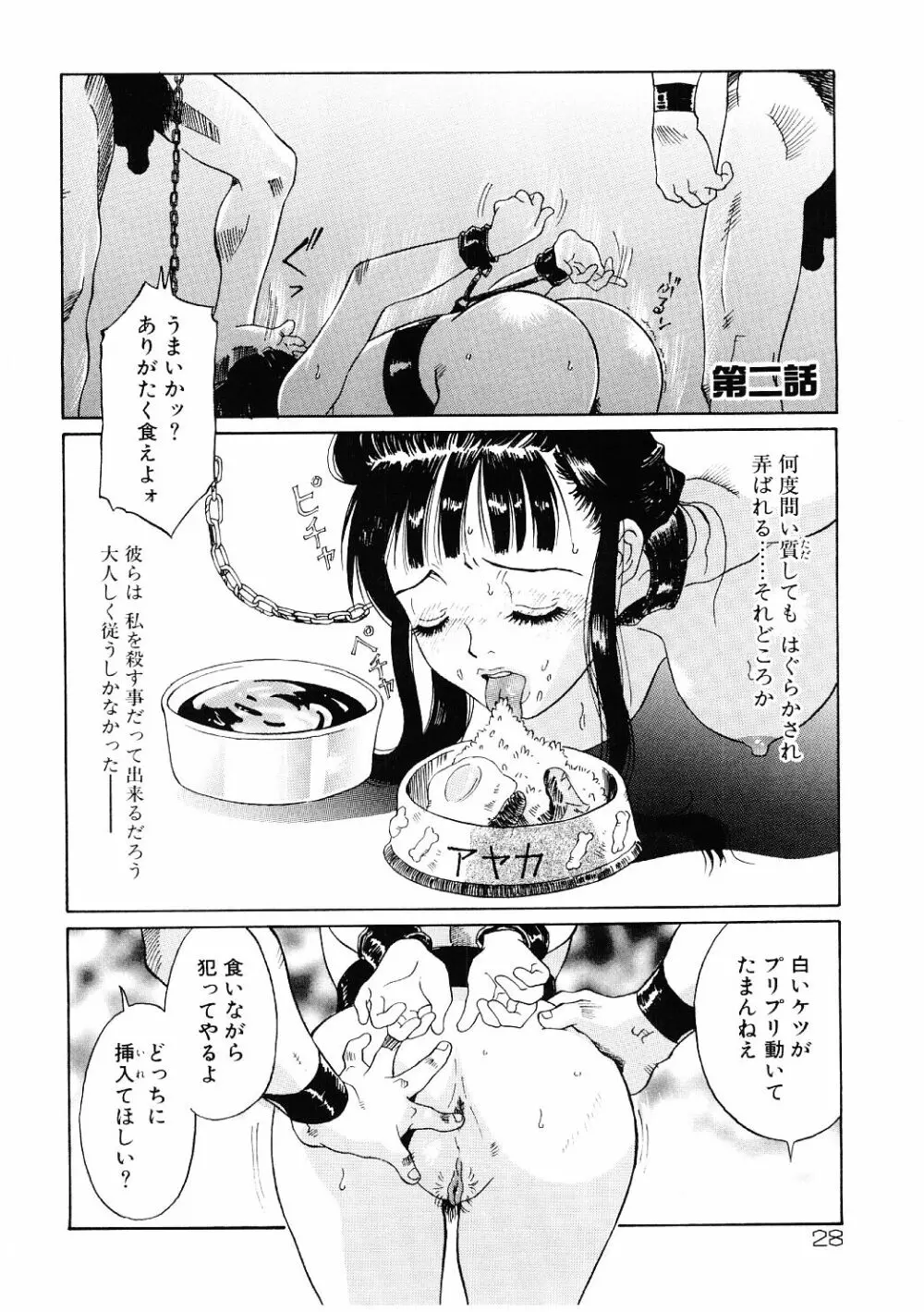 媚虐の音色 Page.29