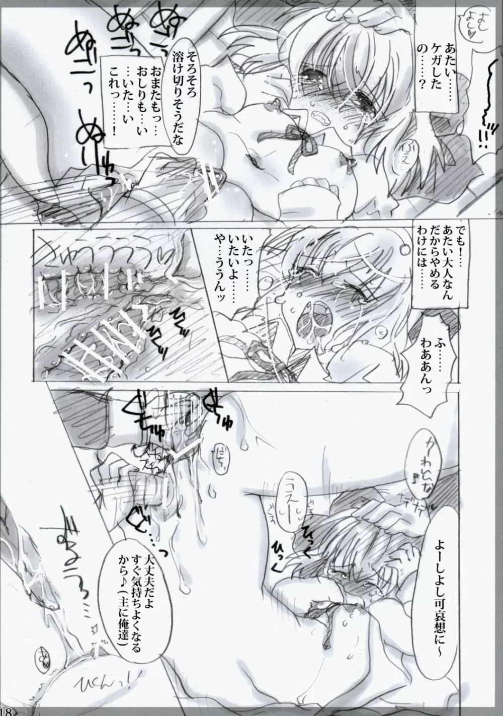 東方春画本 氷精遭難 Page.18