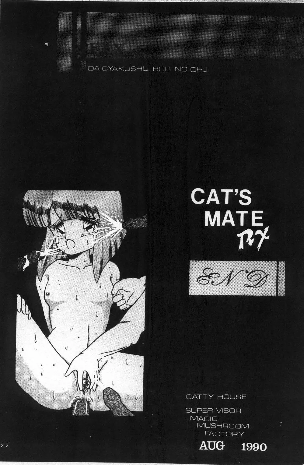 Cat's Mate RX Page.56