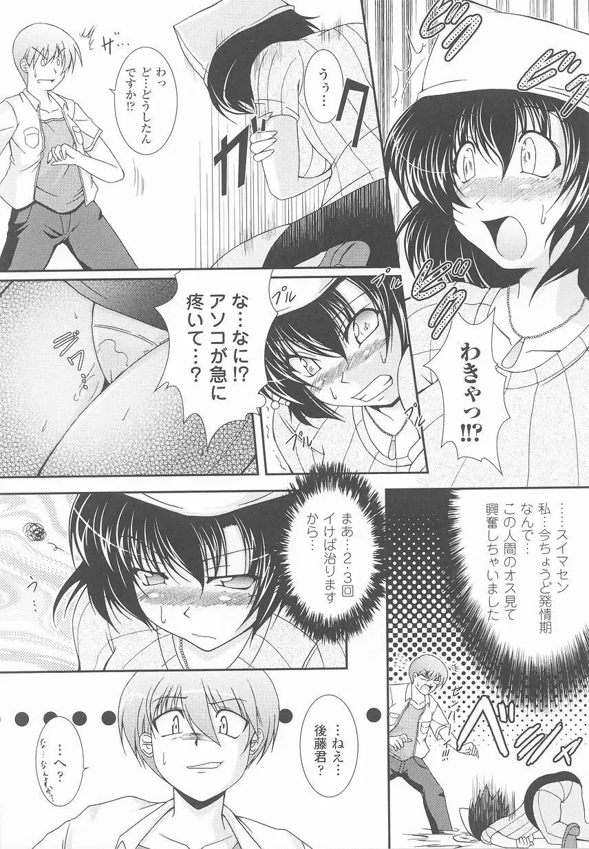 けものっ娘 アンソロジーコミックス Page.29