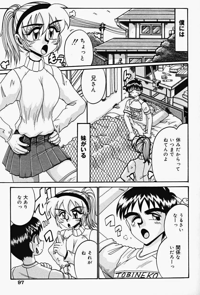 悦虐の時間 Page.99