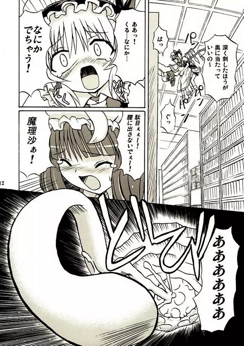 東方妖女乱舞2 Page.11