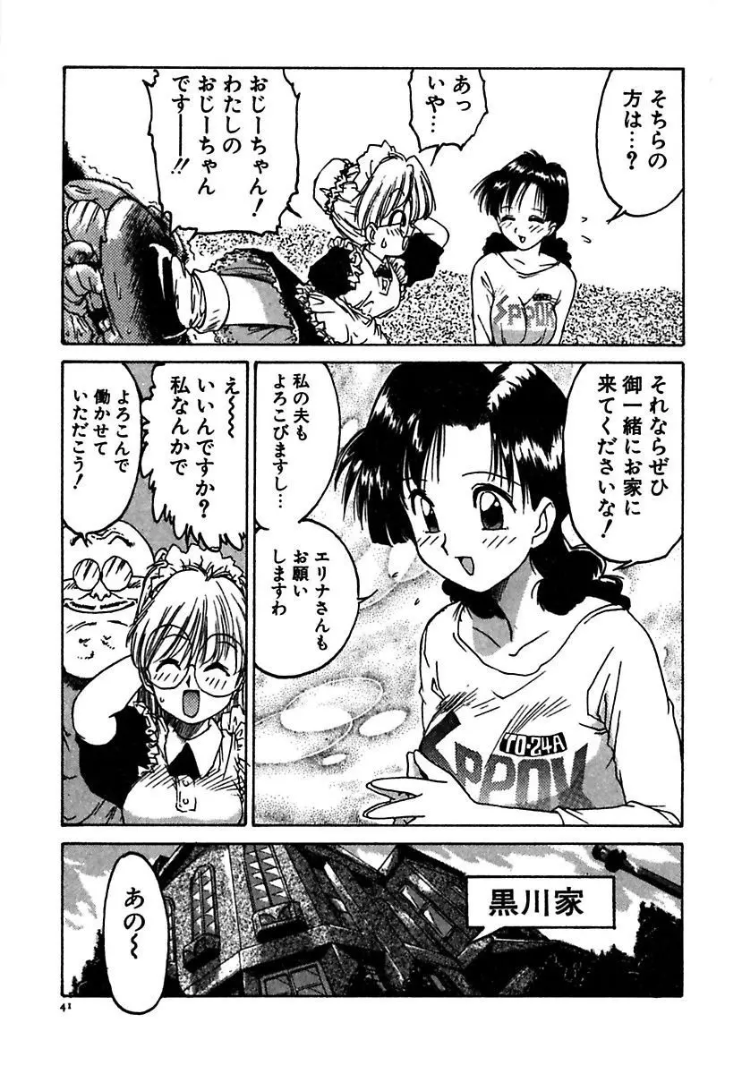 メイド的ウーマン Page.41