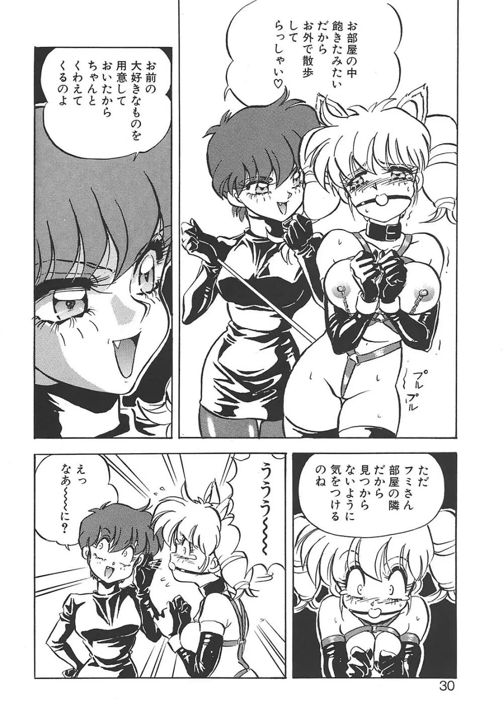 愛奴真奈美 Page.30